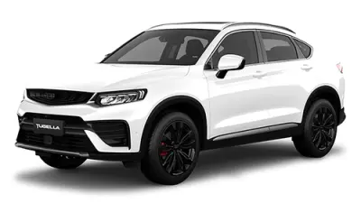 Slider item Ремонт АКПП Джили Тугела